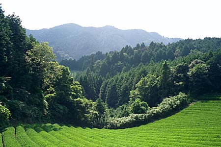 yagyuvalley